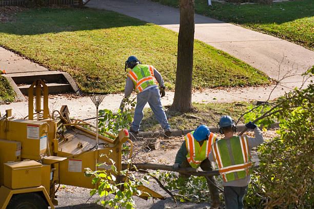 Lawn Drainage Solutions in West Liberty, WV